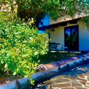 Sarda Jamelia Appartement Elmas